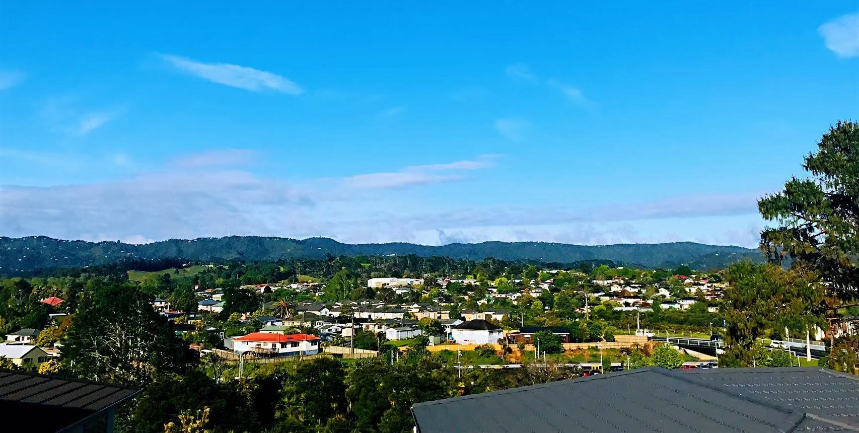 auckland sunnyvale | 2026大选：西区选区及候选人介绍